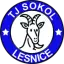 Sokol Lesnice